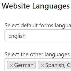 Website Languages